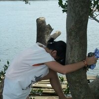 Say Kwan (@sayrkwan) 's Twitter Profile