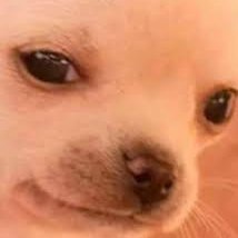 DerekFr98090137's profile picture. 