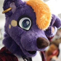 TripleDot (@tripledot13) 's Twitter Profile