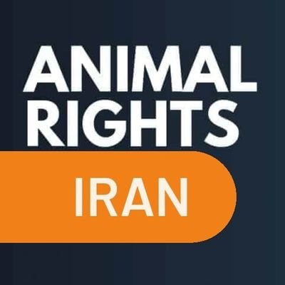 اکانت رسمی کمپین حقوق حیوانات ایران
Official Account Iranian Animal Rights I.A.R
https://t.co/KXxjWh3Zky
https://t.co/2LjkT68jfD