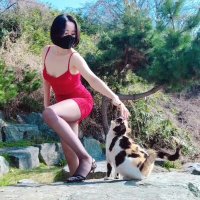 Capgirl_2205 (@capgirl2205) 's Twitter Profile
