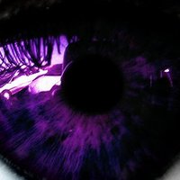 Nitteryah (@nitteryahh) 's Twitter Profile