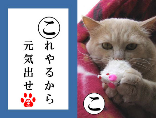 勝手にフォローします！嫌だったら外してくださいね(笑)負の暴走機関車はとまりません！そして福田萌のファンです♪