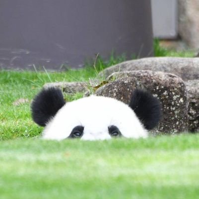 sprmakochin's profile picture. FM OSAKA リスナーです！ RN：[まこちん]  最近、たま～にリクエストしとります。お耳に覚えのある人 ヨロシクです We Are シンセキ！