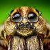 spiderweber.bsky.social 🔞 (@spiderweber2) Twitter profile photo spiderweber.bsky.social 🔞 (@spiderweber2) Twitter profile photo