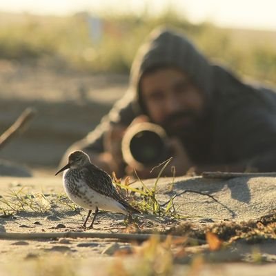 Amateur Bird Photographer - English Lecturer           Amatör Kuş Fotoğrafçısı - Öğretim Görevlisi