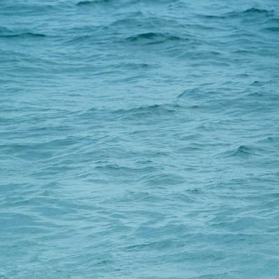 falvu's profile picture. 