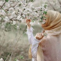 تقى حسين علي (@tuqaahh) 's Twitter Profile