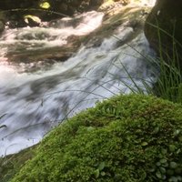 Yoshi Konishi (@emp_env_econ) 's Twitter Profile Photo Yoshi Konishi (@emp_env_econ) 's Twitter Profile Photo