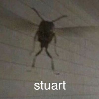 rvtspo's profile picture. not new, just relapsed lol, not fatphobic