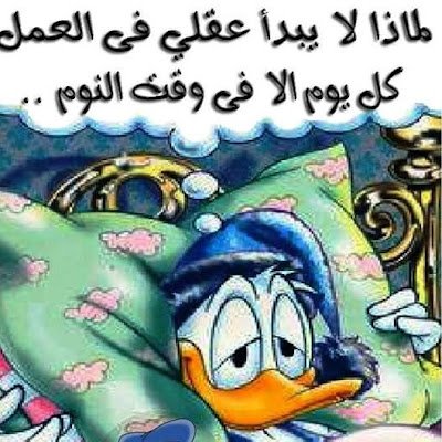 moustafakhafag1's profile picture. 