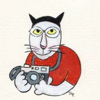 森谷修 Osamu Moriya Photographer (@moriyacamera) 's Twitter Profile