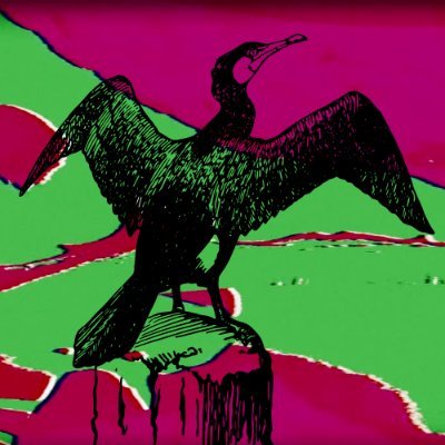 The cormorant dreams in colours without names | T-Shirts and Sweatshirts