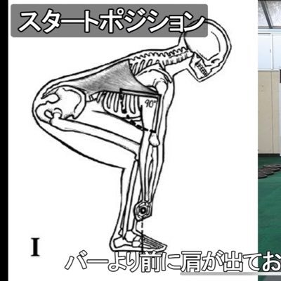 iijud9hn7's profile picture. 🇯🇵