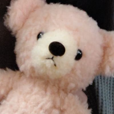 くまのコさんのプロフィール画像