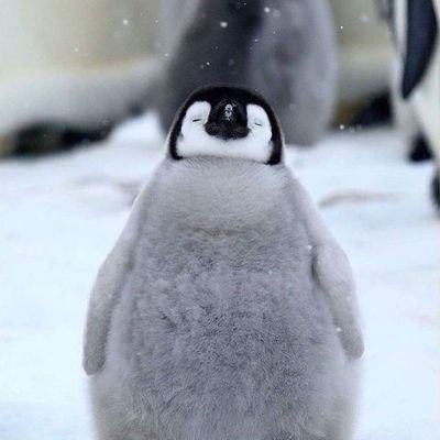 haedaladaldal's profile picture. 