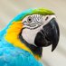 Robert Kelly (@robkellyphoto) Twitter profile photo Robert Kelly (@robkellyphoto) Twitter profile photo