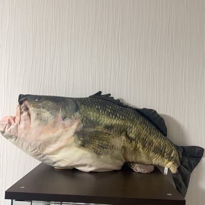 TOTO722530's profile picture. フォロー宜しくお願いします〜