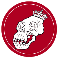 ApeKing (@apekingtoken) 's Twitter Profile