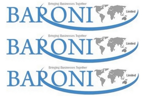 Business Services organisation offering business advice and PM to businesses in Europe and Asia who have reached a plateau in growth or wish further growth