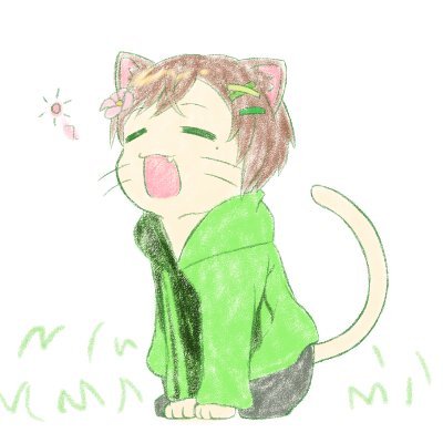 猫宮ん家の猫🍀✨さんのプロフィール画像