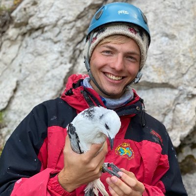PhD candidate in neuroecology at @NTNU investigating orientation in the monarch butterfly 🦋🦋