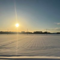 まさや-mo (@masaysa_mo) 's Twitter Profile