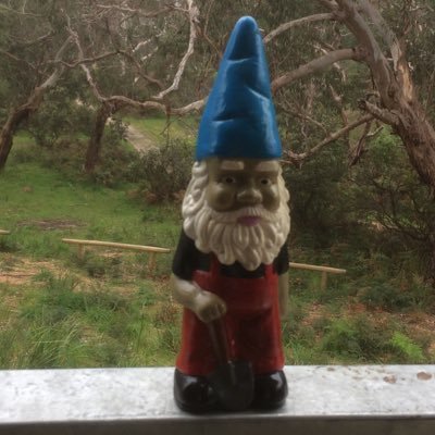 SoutherlyDolli1's profile picture. Interested. Family. Green. Wooden Boats. Plants.