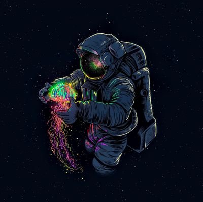 metanautistic's profile picture. Geek XR and 3D creator 🤖
Exploring metaverse and flat web 🚀