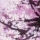 kae ๐๐๐ (@sujurycs) 's Twitter Profile