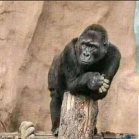 mwene Ndorishyerezo wa Muhozi😆😆😆 (@damascenebimen2) 's Twitter Profile