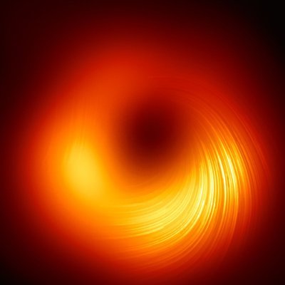 artxmetaverse's profile picture. futurist-metaverser