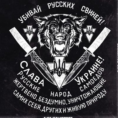 Yasobi 🇺🇦さんのプロフィール画像