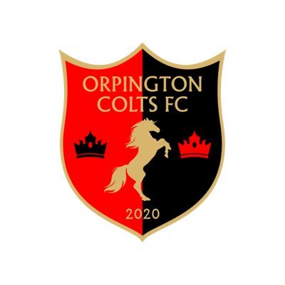 Twitter page of Orpington Colts FC 💥 @OBDSFL Division 5💥 #UpTheColts! 💥 orpingtoncolts@yahoo.co.uk 📩