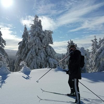 mtgrinch's profile picture. sports fan