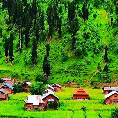 hamdani_yf's profile picture. 