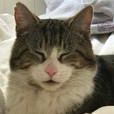 charliekenny101's profile picture. Live in Wiltshire and loves animals