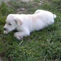 Salva Rivas(@salva_rivas) 's Twitter Profile Photo Salva Rivas(@salva_rivas) 's Twitter Profile Photo