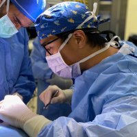 Tom Shin, MD PhD (@tomshin_) 's Twitter Profile