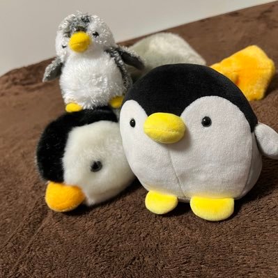 peran6_penguin Profile Picture