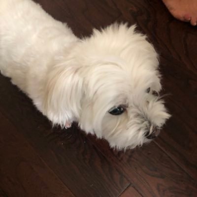 iambrandon___'s profile picture. Video games are cool