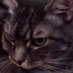 Kody DiCredico (@dicredicokody) Twitter profile photo Kody DiCredico (@dicredicokody) Twitter profile photo