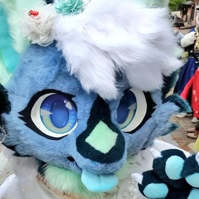 🇺🇲/🇰🇷
Owner of the characters & fursuits of Rumin & Leo
*SFW Only*