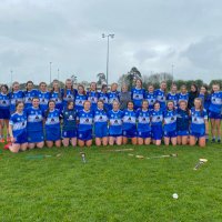 Laois Camogie(@laois_camogie) 's Twitter Profile Photo