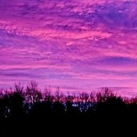 Barb Long (@iblong101) 's Twitter Profile