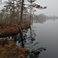 Maela (@maela_bats) 's Twitter Profile