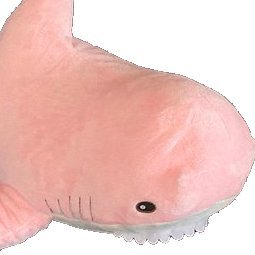 The official account for https://t.co/pSvXjXjIEb cuddlesharks!
We love soft, fluffy, and cuddly pink sharks
🏳️🌈 🏳️⚧️