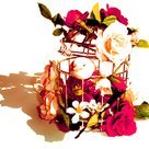 yu_zuno's profile picture. 雑貨/パンダ/漫画/パスタ/アリスもの/カフェ巡り/食べることetc が特に好きです。オタク。月曜日発売のジャンプが生きる糧。バレーやバスケを見るのも好き。最近一眼レフをゲットしました。カメラ女子に憧れだしたところで、普段キモノの可愛さにも魅了されてしまい、そわそわする日々。