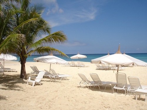 FreeTheFuture's profile picture. 