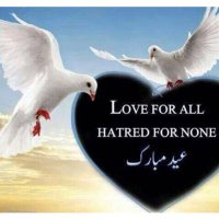 Hashim khan (@hashimk65838776) 's Twitter Profile